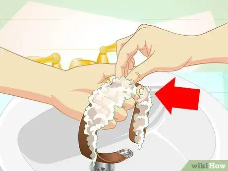 Image intitulée Clean Dog Collars Step 6