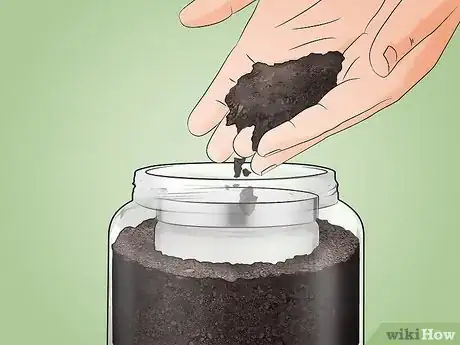 Image intitulée Build an Ant Farm Step 6