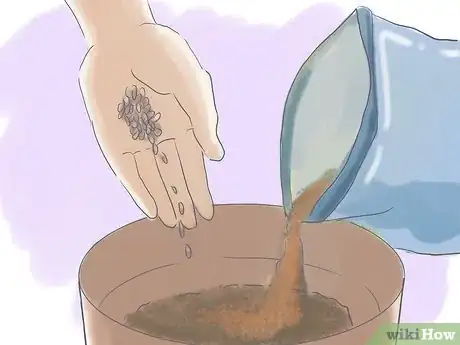 Image intitulée Get Ready to Grow Organic Vegetables in a Greenhouse Step 7