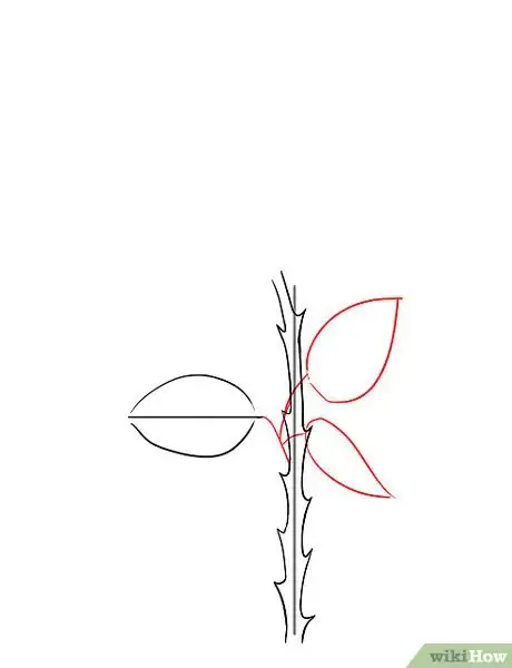 Image intitulée Draw a Rose Step 5