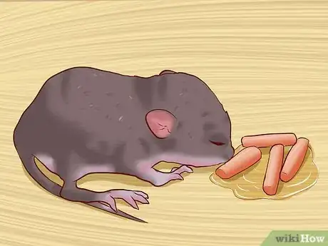 Image intitulée Care for Baby Mice Step 9