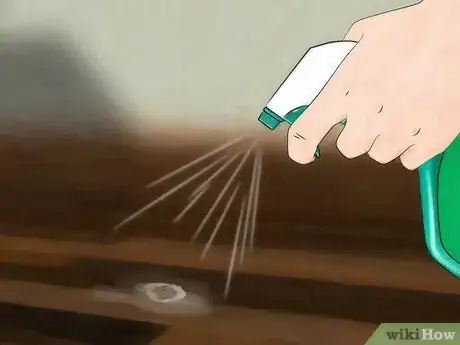 Image intitulée Clean Bird Droppings Step 10