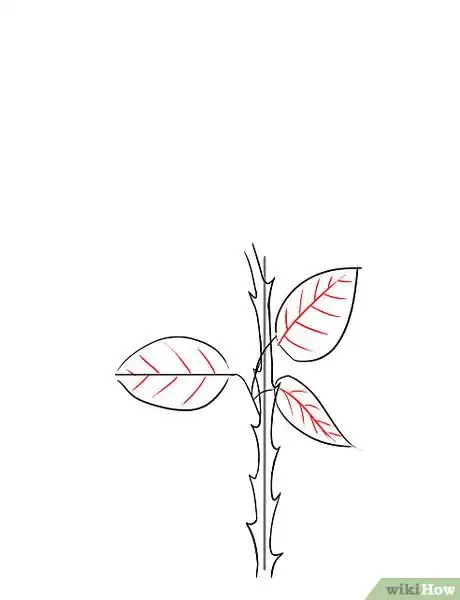 Image intitulée Draw a Rose Step 6