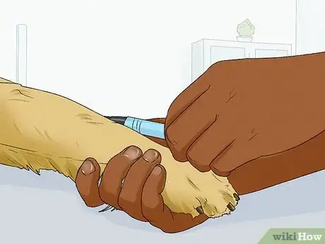 Image intitulée Care for Golden Retrievers Step 22
