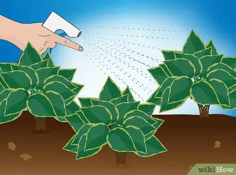 Image intitulée Divide a Hosta Step 17