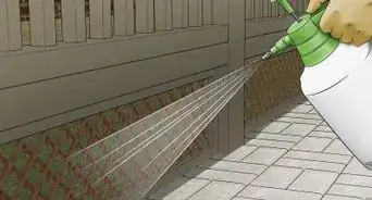éloigner les araignées de sa terrasse