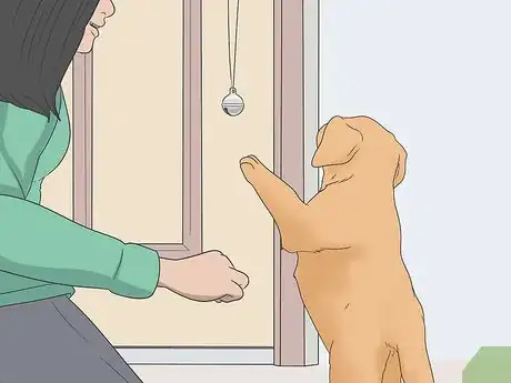 Image intitulée Potty Train Your Puppy Using a Bell Step 15