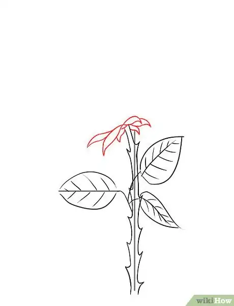 Image intitulée Draw a Rose Step 7