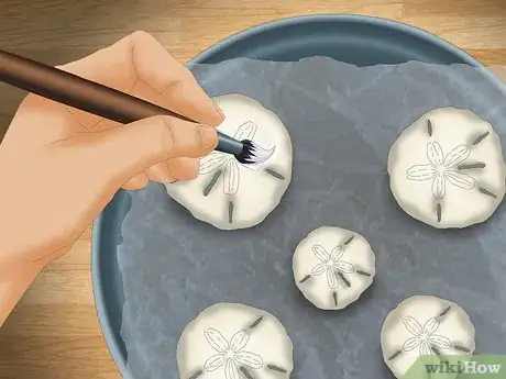 Image intitulée Clean and Preserve Sand Dollars Step 10