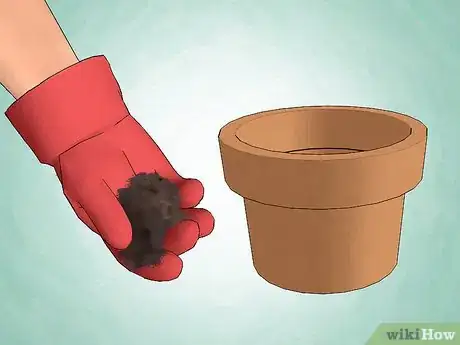 Image intitulée Care for a Christmas Cactus Step 3