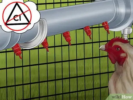 Image intitulée Vaccinate Chickens Step 25