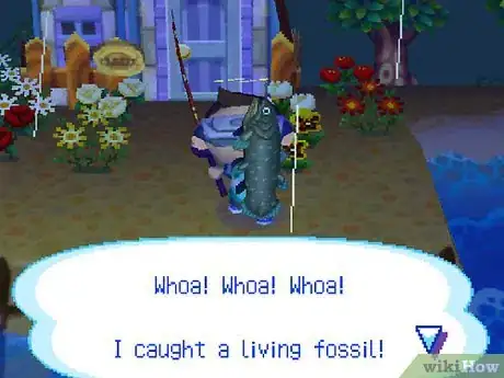 Image intitulée Make a Lot of Bells (Money) in Animal Crossing_ Wild World Step 28