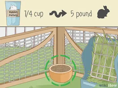 Image intitulée Care for Dwarf Rabbits Step 5