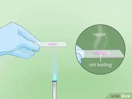 Image intitulée Identify Bacteria Step 16