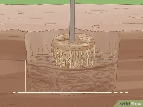 Image intitulée Plant Weeping Willow Trees Step 7