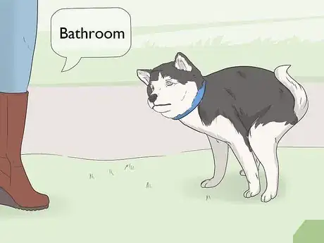 Image intitulée Potty Train Your Puppy Using a Bell Step 10