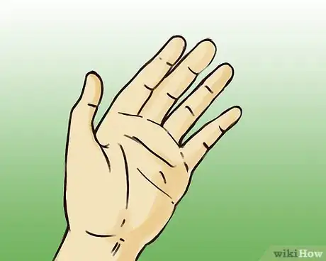 Image intitulée Hold out left hand Step 1
