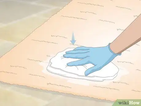 Image intitulée Get Dog Urine Smell out of Carpets Step 8