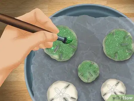 Image intitulée Clean and Preserve Sand Dollars Step 12