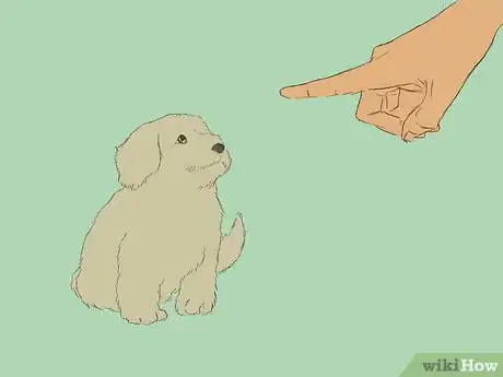 Image intitulée Care for an 8 Week Old Puppy Step 3
