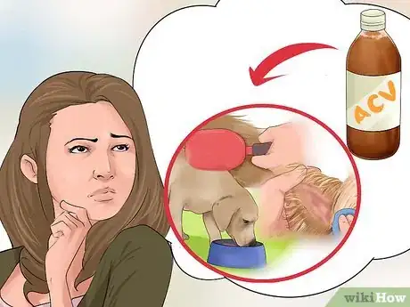 Image intitulée Use Apple Cider Vinegar for Dogs Step 1