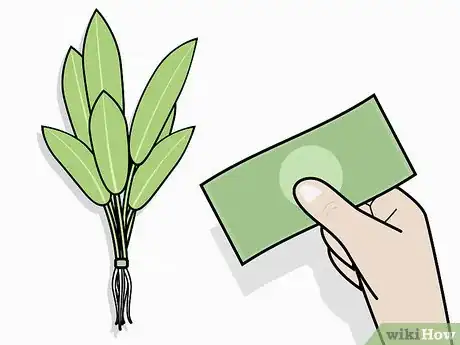 Image intitulée Grow Freshwater Aquarium Plants Step 3