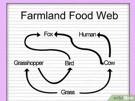 Image intitulée Draw a Food Web Step 4