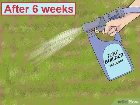 Image intitulée Sow Grass Seed Step 12