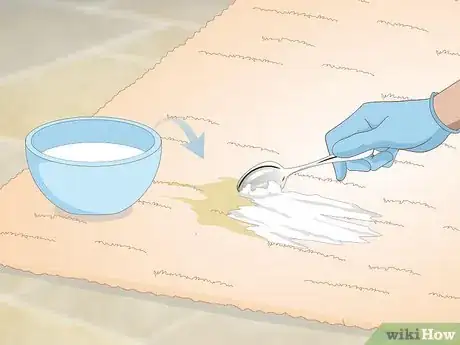 Image intitulée Get Dog Urine Smell out of Carpets Step 7