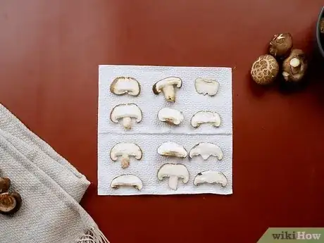 Image intitulée Dry Mushrooms Step 15