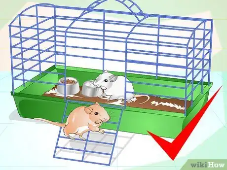 Image intitulée Tame Your Gerbils Step 4