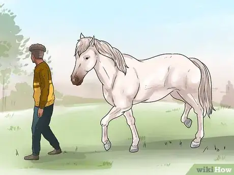 Image intitulée Tell if Your Horse Needs Hock Injections Step 5