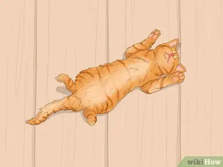 Image intitulée Communicate with Animals Step 4