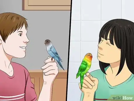 Image intitulée Tame Your Budgies Step 12