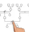 construire un génogramme