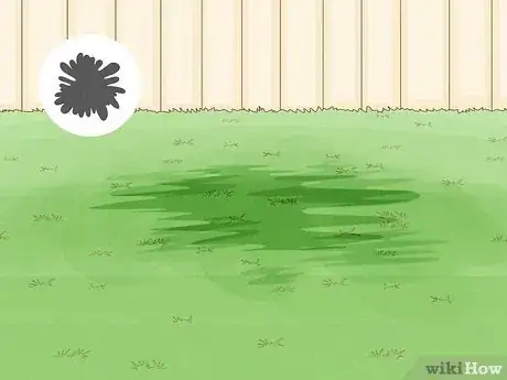 Image intitulée Treat Lawn Fungus Step 4
