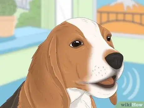 Image intitulée Communicate with Animals Step 7