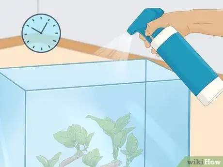 Image intitulée Care for Slugs Step 12