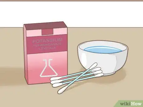 Image intitulée Stop a Dog's Quick from Bleeding Step 11