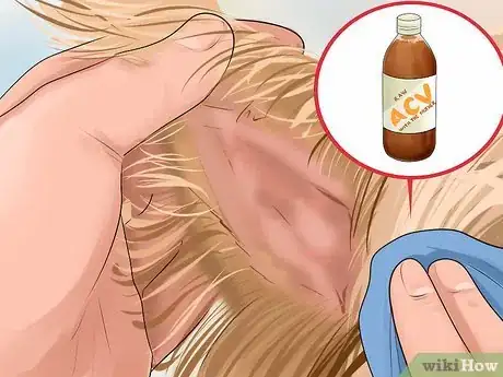 Image intitulée Use Apple Cider Vinegar for Dogs Step 8
