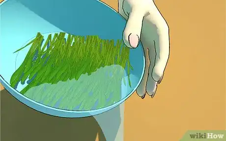 Image intitulée Grow Wheatgrass at Home Step 11