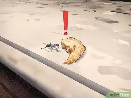 Image intitulée Get Rid of Ants Naturally Step 1