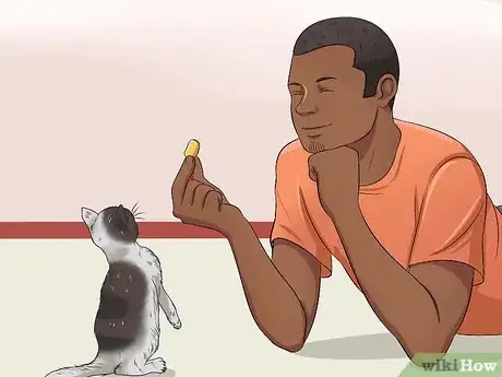 Image intitulée Train a Kitten Step 4