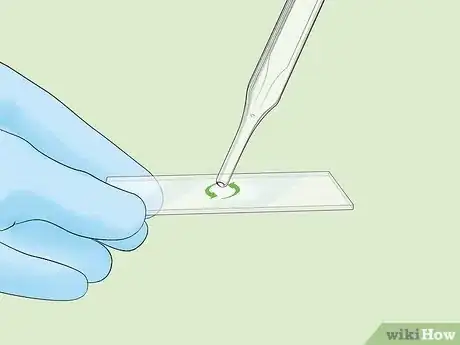 Image intitulée Identify Bacteria Step 12