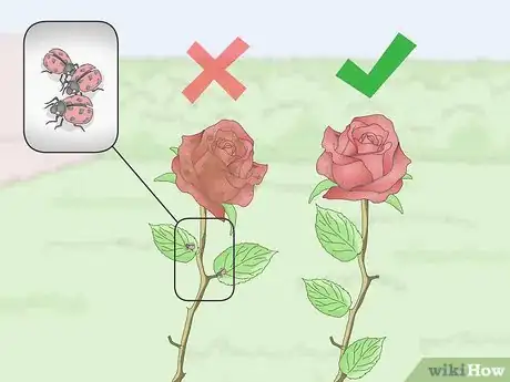Image intitulée Preserve Flowers with Hairspray Step 2