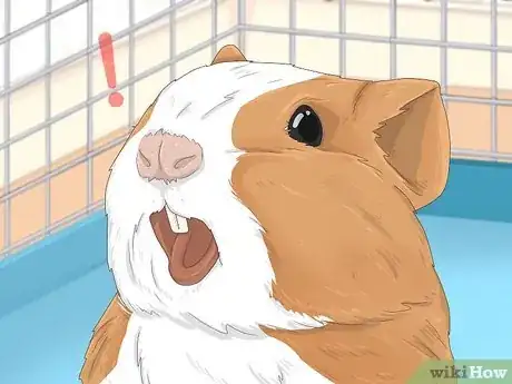 Image intitulée Communicate with Animals Step 8