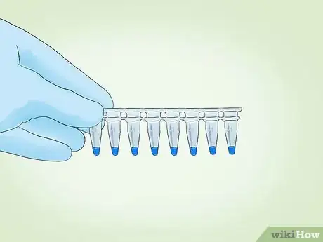 Image intitulée Identify Bacteria Step 31