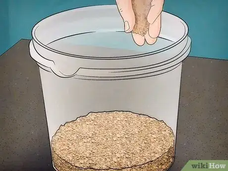 Image intitulée Breed Waxworms Step 4