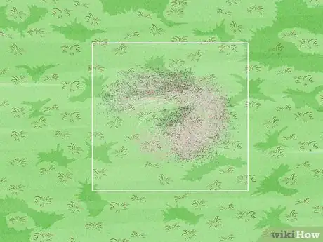 Image intitulée Treat Lawn Fungus Step 3