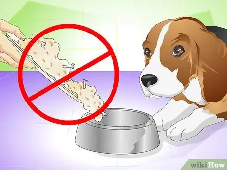 Image intitulée Cure a Dog's Stomach Ache Step 18